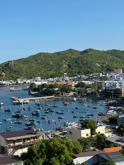 The image shows a panoramic view of the coastal city of Vinh Hai, Vietnam, bathed in bright daylight under a clear blue sky. In the foreground, numerous boats are docked or moving on the calm, blue water of a bay. These range from small, colorful fishing boats to larger, multi-decked vessels. Some of these boats are clustered together, while others are spaced out.
Along the shoreline, a town is visible with a mix of buildings. There are low-rise structures with white and beige facades, some featuring balconies and multiple windows. Further inland, the town extends towards a lush green, mountainous terrain that dominates the background. The slopes of the mountain are covered with dense vegetation and rocky outcrops.
Several piers and walkways extend into the water, connecting the shore to some of the boats. The overall impression is one of a bustling port town nestled against a scenic natural backdrop. There are no discernible individuals in prominent focus, but the presence of many boats suggests ongoing maritime activity. The environment is a typical coastal scene with a blend of urban development and natural landscapes.