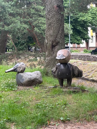 The image shows two stone sculptures in a park-like setting in Olaine, Latvia. The first sculpture, on the left, appears to be a stylized bird with a long beak, made of speckled gray stone. It is positioned next to a larger, dark gray stone sculpture that resembles a person or animal with a round head and a body with four legs. The second sculpture, further to the right and slightly further back, is a larger, smooth gray stone that has been shaped into a rounded form, possibly representing a seated figure or a large animal.
The scene is outdoors, with lush green grass and trees surrounding the sculptures. A large tree trunk is prominently visible in the foreground on the left. In the background, a modern building with white and brown panels can be seen, along with a street and parked cars. The lighting suggests it is daytime, and the overall atmosphere is peaceful and serene. There are no discernible emotions or specific events taking place, as the image focuses on the static sculptures and their environment. No visible text is present in the image.