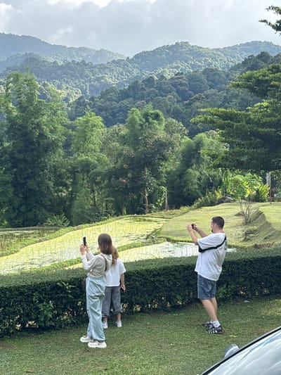 In the city of Ban Ang Ka Noi, Thailand, a group of three individuals are observed documenting a lush natural landscape. The scene unfolds on a grassy incline, with a meticulously manicured hedge serving as a visual divider. Beyond the hedge, vibrant green rice paddies stretch out, reflecting the overcast sky. The background is dominated by a dense forest of verdant trees, cascading up the slopes of mist-shrouded mountains.
Two individuals, a woman and a child, stand near the hedge, both holding smartphones and engaged in taking photographs. The woman, wearing a light-colored top and light blue track pants, is positioned in the foreground. Behind her, a child in a white t-shirt and patterned pants is also holding a phone. A man, dressed in a white t-shirt, denim shorts, and athletic shoes, stands to the right, also holding a phone up as if to capture an image. His body is turned towards the landscape, with sunglasses resting on the back of his head. The overall atmosphere is one of serene appreciation for the natural beauty of the location.