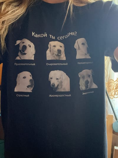 The image shows a dark blue t-shirt with a graphic design featuring six images of Labrador dogs, each with a Russian caption beneath it. The t-shirt is being worn by a person whose blonde hair is visible at the top of the frame. The text at the top of the design reads "Какой ты сегодня?" which translates to "How are you today?". The captions below the dogs appear to describe different moods or personality traits. From left to right, top row: "Привлекательный" (Attractive), "Очаровательный" (Charming), "Неповторимый" (Unique). Bottom row: "Страстный" (Passionate), "Жизнерадостный" (Cheerful), "Энергичный" (Energetic). The background appears to be an indoor setting with some blurry curtains and wooden furniture visible on the right side. There is no identifiable city or location within the image itself.
