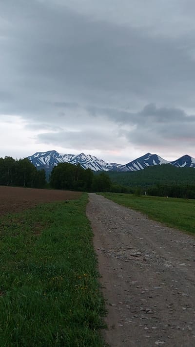 The image depicts a rural landscape with a dirt road leading towards a mountain range in the distance. The sky is overcast and cloudy, with a hint of pinkish light on the horizon. The mountains are snow-capped, with dark green forests covering their lower slopes. In the foreground, there is a field of brown soil to the left, and a grassy area with some yellow wildflowers to the right of the road. The road itself is unpaved and appears to be made of gravel and dirt. The scene suggests a natural, undeveloped environment, likely outside of a populated area. The image does not contain any people or specific urban features that would identify it as being in the city of Lesnoi, Russia.