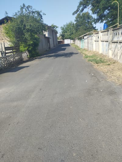 The image depicts a street scene in Kyzyltog (Krasnogorsk), Uzbekistan. A paved road dominates the foreground, with dry grass and sparse vegetation lining its right side. A concrete fence, adorned with decorative elements and interspersed with metal poles, runs along the right side of the road. Behind the fence, trees are visible, and a blue water tank is perched atop a section of the fence. On the left side of the road, a white lattice fence and a wooden fence are visible, with trees and a building behind them. The sky is clear and blue. The scene appears to be set in a residential or semi-rural area during daylight.