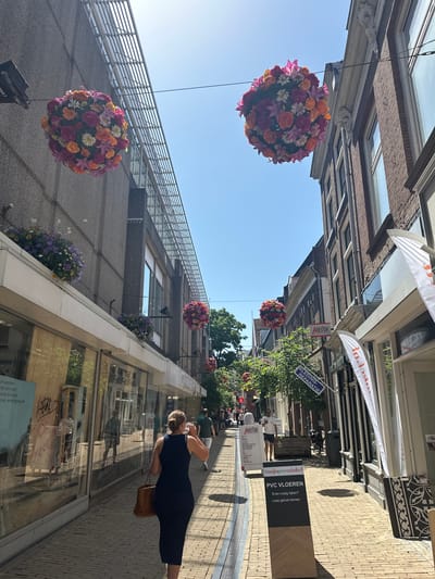 This is a vertical, eye-level, medium shot of a street in Zwolle, Netherlands, featuring a woman in a dark blue dress walking away from the camera on a brick sidewalk. She is carrying a tan purse. The street is lined with buildings on either side. Floral arrangements, likely artificial, hang suspended by wires in front of the buildings. One large floral ball is prominently displayed in the upper left of the frame, while others are visible further down the street.

The buildings have large windows and architectural details. Some windows reflect the sky and surrounding structures. There are also signs visible on the buildings and along the sidewalk. One sign reads "KLEDING-REPARATIE" (Clothing Repair), another advertises "PVC VLOEREN" (PVC Flooring). The overall atmosphere appears to be that of a pleasant, sunny day, suggesting it might be late morning or early afternoon due to the clear blue sky and the bright lighting. The scene depicts a typical urban streetscape with a touch of decorative flair from the floral installations.