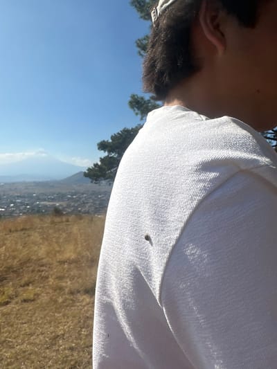 A person wearing a white shirt stands outside, facing away from the camera. The shirt's texture is visible. A small, dark insect rests on the shirt's shoulder area. The background reveals a landscape with dry grass in the foreground. Further away, a town or city stretches toward a distant mountain range under a blue sky with scattered trees.
