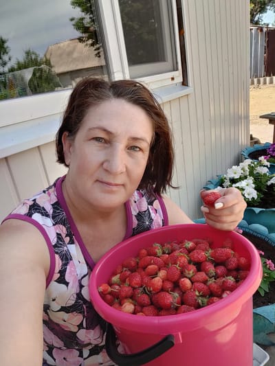 A woman with shoulder-length brown hair and green eyes is shown in a close-up portrait, holding a single strawberry in her right hand. She is wearing a sleeveless shirt with a floral pattern of pink, white, and black flowers. In front of her is a bright pink bucket filled with fresh strawberries. The woman is positioned in an outdoor setting, with a white-paneled building and a window visible in the background. The reflection in the window shows trees and a roof. To the right of the woman, blue planters with white petunias and other flowers are visible, suggesting a garden or outdoor living space. The overall scene appears to be a residential area in Kryukov, Russia, likely during a warm season given the strawberries and flowers.