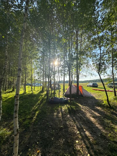 The image depicts a campsite nestled among birch trees in the city of Kuzemkino, Russia. In the foreground, a person is seen resting on a mat in the shade of the trees. A tent is pitched to the right of the resting person, with its orange and gray fabric partially illuminated by sunlight filtering through the leaves. In the background, several cars are parked in a grassy field, suggesting a gathering or event. The environment is characterized by lush green grass, numerous birch trees with their distinctive white bark, and dappled sunlight casting long shadows across the ground. The sky above is a clear blue, indicating fair weather.