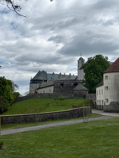This vertical image captures a historic architectural complex, likely a castle or fortress, set against an overcast sky in Častá, Slovakia. The main subject is a large, multi-component stone building with various rooflines and textures. A prominent, light-colored clock tower with a dark, pointed spire and clock faces is visible towards the center-left. The tower appears to be part of a larger structure, possibly a church or a central keep.
The buildings feature walls constructed from a mix of roughly cut dark stone at the lower levels and smoother, lighter-colored plaster or stone on upper sections. Some roofs are dark, possibly slate or metal, while others show red-brown tiles. Green trees are interspersed around the buildings, with one particularly large, leafy tree positioned centrally behind a wall.
In the foreground and to the right, there is a gently sloping green grassy area, manicured like a lawn. A winding gravel or dirt path runs through this grassy expanse, curving away from the buildings. A low stone wall lines part of the path, topped in some sections with a simple wooden railing or fence. The sky is largely covered with thick, textured grey clouds, suggesting an overcast day, but with enough light to illuminate the scene clearly. No people or specific activities are visible, presenting a tranquil and historic landscape view. There is no visible text in the image.