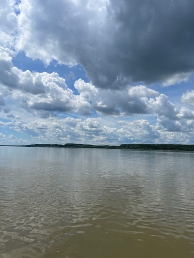 A wide, calm river fills the foreground of the image, its surface reflecting the sky and the distant treeline. The water is a murky brown, with ripples creating subtle patterns across its expanse. Along the horizon, a dense line of dark green trees forms a natural border, their foliage appearing lush and full. Above the treeline, the sky is a dramatic canvas of clouds. Large, billowing white cumulus clouds drift against patches of bright blue sky, while darker, more imposing storm clouds gather in the upper portion of the frame, casting a dramatic shadow. The scene suggests a vast, natural landscape, possibly on the outskirts of Krivina, Bulgaria, where the river meets the land. There are no people or man-made structures visible, emphasizing the wild beauty of the environment.