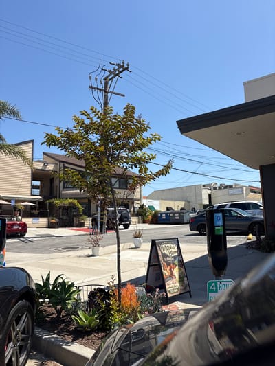 The image depicts a street in Redondo Beach, California, United States of America. A tree stands between the sidewalk and the street, with utility poles and wires visible overhead. A parking meter and a sign advertising "Matcha Bloom Kaffeine" are present on the sidewalk. A "4 Hour Parking" sign is attached to the parking meter. Cars are parked on both sides of the street. The building across the street is labeled "SWOON LAND." Other buildings and businesses are also visible. The sky is clear and blue. The viewpoint is from a car, capturing a partial view of the vehicle's hood and tires.