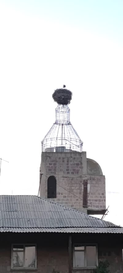 A low-angle, outdoor shot captures a building topped with a stork's nest in Marmarashen, Armenia. The structure is constructed of rough-hewn stones and has a small, arched window. A wire-frame dome sits atop the stone base and is surmounted by a large, untidy stork's nest. The gray sky is an overcast white, making details difficult to discern. The front of the building has a corrugated, grey roof with two visible windows on the front side. An antenna is also visible on the left side of the building. A stork sits atop the nest.