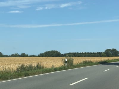 A rural scene in Probsteierhagen, Germany, features a paved road with white dashed lines, curving to the right. Beyond the road is a field of golden wheat, bordered by a line of green vegetation and a dense line of trees in the background. The sky is a clear blue with thin, wispy clouds. A black and white striped marker post stands near the edge of the wheat field.
