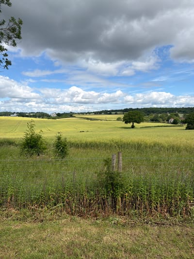 The image presents a wide view of a rural landscape in Hertsmere, United Kingdom, under a dynamic sky. In the immediate foreground on the right, there is a grassy verge and a wire fence supported by two wooden posts, with some overgrown foliage intertwined. Beyond the fence, a large, golden-green crop field, possibly wheat or barley, dominates the middle ground, showing faint tractor tracks winding through it.
A prominent, mature deciduous tree stands alone within the expansive field, casting a small shadow. In the distance, along the horizon, are lines of trees and rolling hills, with a few scattered houses or buildings visible amidst the foliage, suggesting a rural settlement.
The sky above is a striking element, characterized by a clear division of weather. On the left, a significant portion is covered by dark grey, heavy clouds, while the right side features bright blue sky with scattered white, fluffy cumulus clouds. This contrast suggests changing weather conditions, possibly hinting at an approaching or recently departed storm. The time of day appears to be daytime, likely late morning or early afternoon, given the bright illumination in parts of the sky. No people are visible, and there is no discernible text in the image. The scene conveys a sense of peaceful, agricultural vastness.