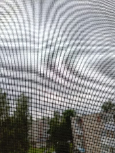 The image is a close-up shot of a window screen, with a blurry urban landscape visible through it. The screen is dark and finely meshed, creating a grid pattern that overlays the scene beyond. Through the screen, a hazy sky with diffused light can be seen, suggesting an overcast day. In the mid-ground, the out-of-focus shapes of trees with dark green foliage are present. Further in the background, parts of multi-story buildings with visible windows and balconies are discernible, though their details are obscured by the screen and blurriness. The overall impression is of a view from a window in an apartment building in Tikhvin, Russia, on a cloudy day. No people or specific actions are visible.