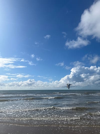 This image displays a coastal scene under a partially cloudy blue sky, situated in the vicinity of Overveen, Netherlands. The foreground consists of dark, wet sand with multiple lines of white foam from receding waves. The mid-ground is dominated by the dark blue-green sea, characterized by numerous white-capped waves moving towards the observer. On the far left horizon, faint vertical structures, consistent with distant wind turbines, are visible. The sky, occupying the upper two-thirds of the frame, is a clear blue with scattered white cumulus clouds; larger, denser cloud formations are present on the right, while smaller, elongated clouds extend across the left. A single seagull, white with dark wingtips, is captured in mid-flight over the water in the mid-right section of the frame, its wings extended. Sunlight illuminates the scene from the upper left, producing a bright glare and highlighting cloud edges and water surfaces.