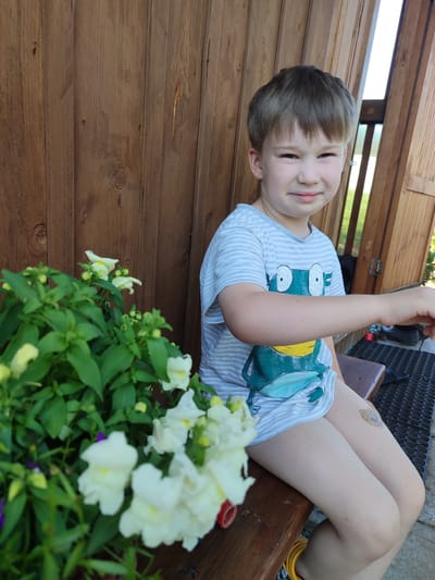A young boy with light brown hair sits on a wooden bench in front of a wooden wall. He wears a gray and white striped t-shirt with a green frog graphic. To his left, a potted plant with green leaves and white flowers is visible. The scene appears to be outdoors, possibly in the city of Sovetsko-Nikol'skoe, Russia.