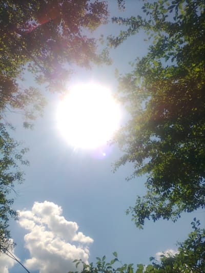 The image depicts a bright, sunny sky seen through the canopy of green leaves from trees. The sun is the dominant feature, appearing as an intensely bright, slightly diffused orb in the upper center of the frame, casting lens flares and sunbursts. A few scattered white clouds are visible in the lower portion of the sky. Branches and leaves of trees frame the upper and side edges of the image, suggesting the photo was taken from a low angle, looking upwards from beneath the trees. The overall scene is natural and outdoors, likely within a park or residential area with mature trees. The location is identified as Petrivka, Ukraine. There are no people or discernible actions depicted.
