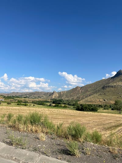 The image depicts a rural landscape in Gladzor, Armenia, under a bright blue sky with scattered white clouds. The scene is dominated by a vast, dry, harvested field with hay bales visible as small brown squares across its expanse. To the left, a steep, rugged mountain slopes upwards, its rocky surface sparsely covered in vegetation. A narrow band of green trees follows the base of the mountain, separating it from the field.

In the foreground on the right, a dirt and gravel road runs alongside the field, bordered by rough concrete. Bushes and tall dry grass grow along the edge of the road. The overall impression is one of a warm, sunny day, likely late summer or early autumn, given the harvested field and dry vegetation. The lighting suggests it is daytime, possibly mid-morning or afternoon. There are no people or specific objects of interest, focusing solely on the natural scenery. The location cues are consistent with a mountainous region in Armenia, characterized by dry farming and dramatic geological formations. There is no visible text in the image.