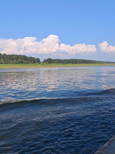 The image depicts a wide, tranquil river flowing through a verdant landscape under a bright blue sky dotted with fluffy white clouds. A dense forest lines the far bank of the river, with a strip of green grass visible between the water and the trees. The water surface is rippled, with a distinct wake originating from the lower right of the frame, suggesting the perspective is from a moving vessel. The overall scene evokes a sense of natural beauty and peacefulness. The location is identified as Prutovaya, Russia.
