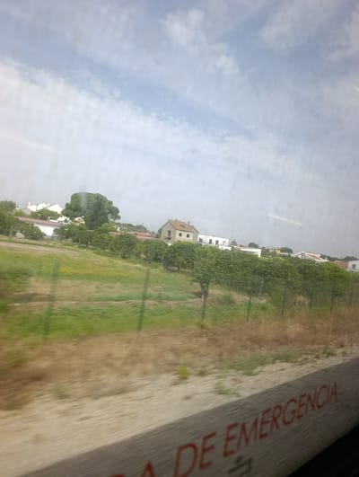 The image depicts a rural landscape with houses and trees, likely taken from a moving vehicle due to the motion blur. The scene is set in Pinhal Novo, Portugal. In the foreground, a blurred section of a vehicle interior is visible, with red text painted on it that reads "DE EMERGENCIA," meaning "EMERGENCY" in Portuguese. This suggests the photo was taken from a train or bus.

Behind the foreground, a grassy field stretches out, bordered by a green metal fence. Beyond the field, a collection of houses with red-tiled roofs and white walls are scattered amongst lush green trees and some lower-lying bushes. A particularly large, bushy tree stands out among the buildings. The sky above is a pale blue, with wispy white clouds, indicating it is daytime, likely late morning or afternoon, with fair weather. The overall impression is a tranquil view of a Portuguese countryside, seen through a window.