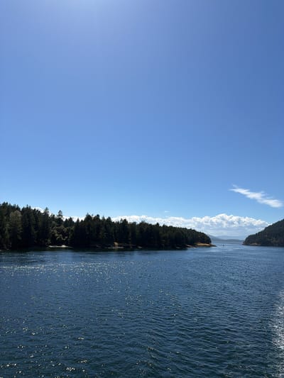 This image depicts a serene seascape in the Southern Gulf Islands Electoral Area, Canada, under a clear, bright blue sky. The foreground is dominated by a vast expanse of deep blue water, its surface shimmering with countless glints of sunlight. The water appears slightly choppy, with gentle waves creating a textured pattern.

Along the mid-ground, a dense line of evergreen trees forms a natural boundary along the edge of a landmass. The trees are dark green and appear healthy, with their tops creating an uneven silhouette against the sky. The shoreline is a mix of rocky outcrops and possibly sandy patches, hinting at a natural, undeveloped coastline.

Further into the distance, the water continues, leading towards a narrow channel where two forested islands or peninsulas flank the waterway. The islands are also covered in dense evergreen trees, with undulating terrain visible beneath the foliage. In the far distance, hazy mountains or hills are faintly visible, their forms softened by atmospheric perspective. A few scattered white clouds drift in the upper sky, adding a touch of visual interest. The overall impression is one of natural beauty and tranquility.