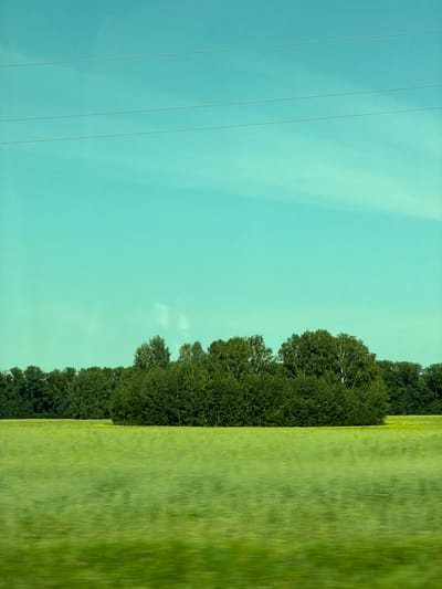 The image depicts a landscape scene, likely captured during daylight. The foreground consists of a blurred, vibrant green field, suggesting motion, possibly from a vehicle. A line of dense, dark green trees forms the midground, with some lighter-colored foliage and white tree trunks visible within the cluster. Behind the trees, the sky is a clear, bright turquoise, with three thin, horizontal power lines stretching across its upper portion. The overall impression is of a rural or semi-rural setting, with elements of nature dominating the composition. There are no people or specific structures visible in the image. The image does not contain any specific visual cues that would allow for the precise identification of the location as Bezmenovo, Russia.