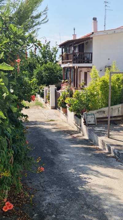The image shows a narrow, sun-dappled concrete pathway leading towards a two-story building with a wooden balcony. Lush green foliage, including flowering vines with orange blooms, borders the left side of the path. The building, appearing to be a residential house, has white walls and a terracotta-tiled roof. A wooden railing encloses the balcony, which has potted plants. In the foreground, the path is shaded by trees. To the right of the path, a low concrete wall separates it from a small garden area with more potted plants and bamboo. A white folding chair and a broom are visible on this raised area. In the background, a swing set with a metal frame and a chain is partially visible. The sky is clear and blue. The overall scene suggests a warm, sunny day in a Mediterranean setting, possibly a residential area in Leporano, Italy, characterized by its abundant vegetation and traditional architecture.