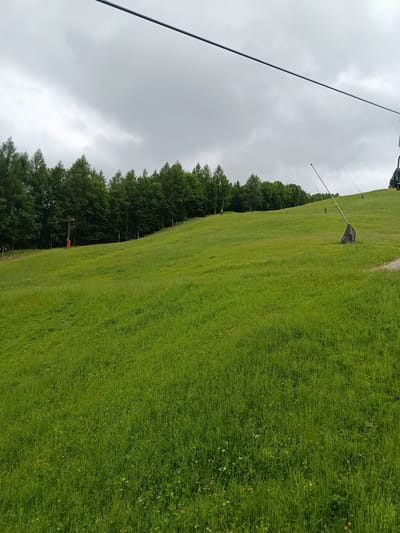 The image depicts a grassy slope at a ski resort in Hallein, Austria, during warmer months, indicated by the lush green grass and trees. A ski lift cable is visible overhead, stretching across the frame. The slope is dotted with several poles, some equipped with black protective coverings, suggesting they are part of the ski lift infrastructure. In the background, a dense line of evergreen trees forms a treeline along the upper edge of the slope. The sky is overcast with gray clouds. There are no people or animals visible in the image.