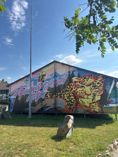 The image depicts a long, wooden building, likely a shed or small structure, adorned with a vibrant mural on its side. The mural features a stylized landscape with mountains, trees, and a prominent depiction of a leopard's face on the right. The leopard is rendered in yellow, orange, and black spots, with its head facing forward. In the center of the mural, large, pink lettering appears, though the text is difficult to decipher completely. To the left of the leopard, a smaller figure, possibly a person or animal, is visible, also in stylized colors. The building's roof is dark and slopes downwards.
In front of the building, a well-maintained grassy area is visible, with several large, grey rocks scattered on the ground. A tall, slender metal pole, likely a flagpole or antenna, stands vertically in front of the mural, partially obscuring the artwork. The sky above is a clear blue with scattered white clouds, and the upper branches of a leafy green tree are visible in the top right corner, casting shadows. To the far left, another building with a similar mural depicting a deer can be partially seen. The overall impression is an outdoor scene, possibly a public space or an area with artistic installations, under a bright, sunny sky. The image is taken from a slightly low angle, looking up towards the building and sky. The context of Sudak, Ukraine is not visually evident from the image itself.