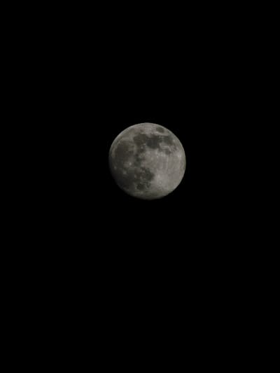 A celestial sphere, gray with dark patches, dominates the frame. The full moon, a mosaic of craters and varying shades, is suspended in a black expanse, accentuating its stark details. No stars or other objects share the void. The lone lunar presence fills the image with a sense of isolated grandeur.