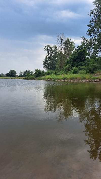 This media file depicts a serene waterscape with lush greenery. The primary subjects are a calm river, a densely vegetated bank, and a sky filled with soft clouds. The river occupies the right two-thirds of the frame, its surface reflecting the surrounding trees and sky with a slightly murky, greenish-brown hue. The left third of the image is dominated by the riverbank, which is a vibrant strip of green grass and trees. These trees, some with full canopies and others bare, create a natural border along the water. A rough stone embankment is visible along the edge of the river, stabilizing the bank.
A notable detail within the scene is a small, dark figure, possibly a bird or a small animal, standing on the grassy bank. The sky above is a soft blue, with wispy white clouds suggesting a pleasant, possibly overcast, day. The reflections in the water are slightly distorted by ripples, adding a dynamic element to the otherwise still scene. The presence of what appears to be a power line tower in the distance on the left side suggests a connection to human infrastructure, though it is far from the immediate natural setting.
The image appears to have been taken during daylight hours, likely late morning or afternoon, given the even lighting and the clarity of the reflections. The overall mood is peaceful and tranquil, inviting contemplation of nature. There is no visible text in the media file. The context of Krosno Odrzańskie, Poland, places this scene within a European landscape, potentially a park or natural reserve along a river.