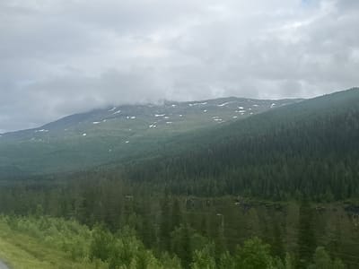 The image shows a mountainous landscape under a cloudy sky. The mountains are covered with dense evergreen trees, transitioning to lighter green vegetation and sparse snow patches at higher elevations. In the foreground, there are more deciduous trees and a grassy slope. There are no people or animals visible in the image. The environment appears to be natural and wild, with no signs of human habitation apart from what could be power lines or infrastructure partially obscured by the trees. The scene suggests a remote, possibly Nordic, location.