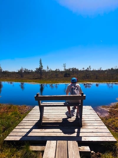 A person wearing a blue cap, a light-colored t-shirt, and shorts sits on a wooden bench on a wooden pier. The person has a backpack on. The pier extends over a body of water with reflections of trees and the sky. The surrounding environment is a bog with low-lying trees and vegetation. The sky is clear and blue. This scene is located in theĶemeri National Park, near Antiņciems, Latvia.