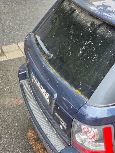The image shows the rear of a dark blue Range Rover Sport parked on a paved surface next to a sidewalk. The car's rear windshield is dirty and covered in debris, including leaves and what appears to be moss. The license plate is partially visible and reads "HHG 695". The car has a rear wiper, a chrome strip above the license plate, and a black textured bumper insert. There are also leaves and debris scattered on the ground around the rear of the vehicle. The environment suggests an outdoor setting, likely a street or parking area. The location is identified as Ginsheim-Gustavsburg, Germany.