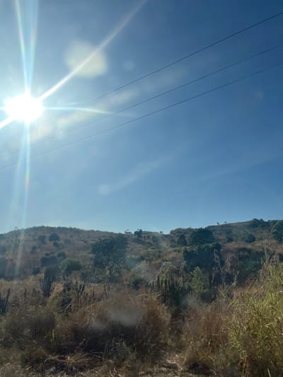 The image displays a bright, sunny daytime scene in Jibilik, Nigeria, featuring a hilly, semi-arid landscape under a clear blue sky. In the upper left quadrant, the sun is intensely bright, producing significant lens flare and visible rays. Three dark, thin power lines traverse horizontally across the upper middle of the frame. The lower two-thirds of the image show rolling hills covered predominantly in dry, yellowish-brown grasses and sparse scrub. Scattered across the hillsides are various trees and bushes, some appearing greener and denser, while others are more sparse and dry. Several cactus-like plants are visible among the foreground vegetation. No people, animals, or other man-made structures are present in the scene. The overall environment suggests a dry season or arid climate.