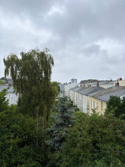This image shows a view over rooftops in Wilhelmshaven, Germany, likely from an elevated position. A large weeping birch tree dominates the foreground, its branches cascading downwards. Beyond the tree, a row of terraced houses with grey roofs and light-colored facades is visible, many featuring red-brick chimneys. Further in the background, more buildings and a taller modern structure can be seen. The sky is overcast and grey. The scene depicts a residential area on a cloudy day.