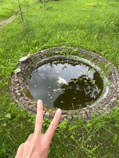 A hand with the index and middle fingers extended in a peace sign is positioned in the foreground of the image. The hand is in front of a small, oval-shaped pond with dark, murky water. The pond is surrounded by a low wall constructed of stones and moss, with some vegetation growing around its edges. The pond and surrounding area are situated in a grassy, outdoor environment, with a small tree visible in the background to the left and more grass and vegetation filling the rest of the frame. A dirt path can be seen to the left of the pond and tree. The location is identified as Bolotnitsa, Russia.