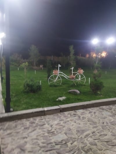 The image shows a dimly lit outdoor scene, likely a park or garden area, at night. In the center of the frame is a decorative wrought-iron bicycle with two planter baskets attached, one on the front and one on the back. The baskets contain a few red flowers. The bicycle is placed on a well-maintained green lawn. To the right of the bicycle, a small evergreen tree is visible. In the background, several trees and shrubs are scattered across the landscape, and some lights are visible in the distance, suggesting buildings or a populated area. The foreground features a cobblestone pathway bordered by a concrete curb. A black vertical post, likely part of a fence or lighting fixture, is visible on the far left edge of the image. The lighting conditions are poor, with bright artificial lights in the upper portion of the image creating glare. The location is identified as Sosnovka, Kyrgyzstan.