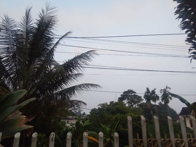 The image shows an outdoor scene with a sky, vegetation, power lines, and a fence. In the foreground, a light-colored fence with decorative metalwork is visible, with several cylindrical posts. Behind the fence, lush green foliage, including large leaves and palm fronds, dominates the lower part of the frame. Several tall palm trees are also present, along with other trees and dense undergrowth. In the middle ground, a light-colored building with a dark roof can be seen through the trees. Overhead, multiple power lines stretch across the sky. The sky is overcast and pale. The scene appears to be in a residential or semi-rural area in Megamendung, Indonesia. There are no people or animals visible in the image.