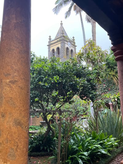 The image shows a view of the Iglesia de la Concepción tower in San Cristóbal De La Laguna, Spain, as seen through an opening. The foreground features part of a building structure in mottled brown and orange tones, possibly a wall or architectural element. Beyond this, there are lush green trees and various plants, partially obscuring the tower. The tower is constructed of grey stone with yellow arches and a clock face. Palm trees are visible on either side of the tower in the background. The sky is overcast.