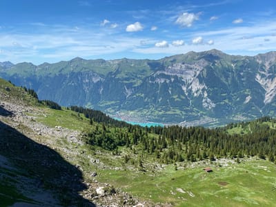 The image is a wide-angle landscape view of a mountainous region in Brienz (BE), Switzerland. The foreground features a steep, rocky slope with patches of green grass and scattered trees. A large shadow from the mountain dominates the left side of the frame. Moving into the mid-ground, there is a dense forest of evergreen trees covering a rolling hillside. A small, rustic red-roofed cabin with a tiny pond is visible in the middle of the grassy clearing within the forested area. In the background, a vibrant turquoise lake is nestled within a valley, with a town visible on its shores. Beyond the lake, a range of majestic, green-covered mountains stretches across the horizon under a bright blue sky dotted with white, fluffy clouds. The overall scene depicts a serene and picturesque alpine environment. There are no people or animals visible in the image.