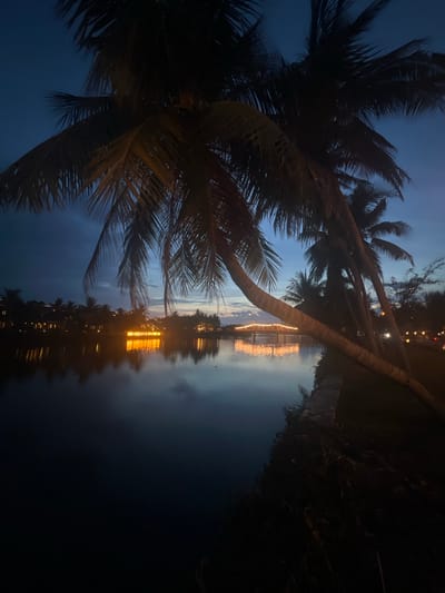 This is a nighttime photograph of a body of water, likely a river or canal, in Hoi An, Vietnam. The scene is dominated by the reflections of lights on the water and the silhouettes of palm trees. In the background, across the water, there is a resort or hotel complex with numerous illuminated windows, creating warm yellow and orange reflections. A prominent illuminated sign, which appears to spell out "KDI RESORTS SPA HOI AN", is also visible and its reflection is clearly mirrored in the water. A bridge decorated with strings of lights spans the water in the distance. The sky is a deep twilight blue, with some wispy clouds visible. Palm trees with fronds are in the foreground, partially obscuring the view and adding a tropical atmosphere to the scene. The water's surface is mostly calm, with gentle ripples reflecting the lights. The overall impression is serene and tranquil, capturing the ambiance of a tropical resort at dusk or early night.