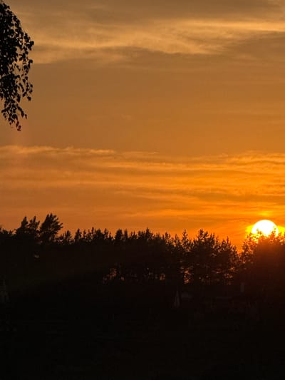 This is a photograph of a sunset over a forested area in Kierwik, Poland. The sky is a vibrant orange, with horizontal bands of clouds stretching across it. The sun is a bright, glowing orb just above the treeline, casting a warm light over the scene. The trees are silhouetted against the sky, their dark forms creating a stark contrast with the bright sunset. A branch with leaves hangs from the top left corner of the image, providing a sense of foreground detail. The lower part of the image is a dark, indistinct area which may represent fields or open ground. There are no people or discernible human activity visible in the photograph. The overall mood is peaceful and serene, capturing the beauty of a natural landscape at dusk.