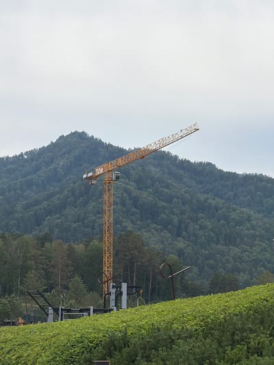A bright yellow construction crane stands prominently in the foreground, its boom extending diagonally across the frame. Behind it, a dense, green, tree-covered mountain slopes upwards against a pale, overcast sky. In the middle ground, a section of an outdoor gym structure is visible, composed of grey metal bars and equipment. A low-lying hedge of lush green foliage dominates the lower portion of the image, with some evergreen shrubs in the immediate foreground. The scene appears to be located in a natural setting, possibly on the outskirts of a populated area. The location is the city of Озерное (майминский), Russia.