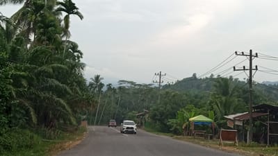 The image depicts a road in Buketmulia, Indonesia, on an overcast day. A two-lane asphalt road curves gently through a lush, green landscape dominated by tropical vegetation, including numerous palm trees and dense foliage. Two vehicles are traveling on the road: a white SUV is in the foreground, and a red car is visible further ahead. On the right side of the road, there are a few simple structures, including a small covered stall with a colorful awning, and a rustic wooden shed. A utility pole with electrical wires stands prominently near the stall. The background shows rolling, tree-covered hills under a cloudy sky.