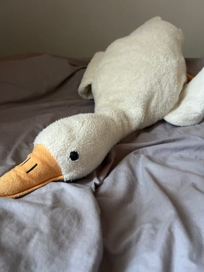 A stuffed toy goose lies on a bed with grey sheets. The goose is white and fluffy with an orange beak and a black eye. Its head is tucked under the sheets, as if it's sleeping. The scene appears to be indoors, possibly in a bedroom. The lighting suggests it could be daytime. There is no visible text in the image.