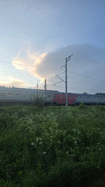 An outdoor, full-shot vertical composition captures a train passing through a grassy field under a cloudy sky. The train is gray with red accents and runs horizontally across the middle ground of the image. Overhead, power lines stretch across the frame, supported by utility poles. The foreground is dominated by a dense field of green grass and white wildflowers, with some trees visible in the distance. The sky is a mix of blue and gray clouds, with a bright patch of light peeking through on the left side. The scene appears to be in the village of Rassudovo, Russia, a rural area outside of Moscow known for its natural landscapes and railway lines.