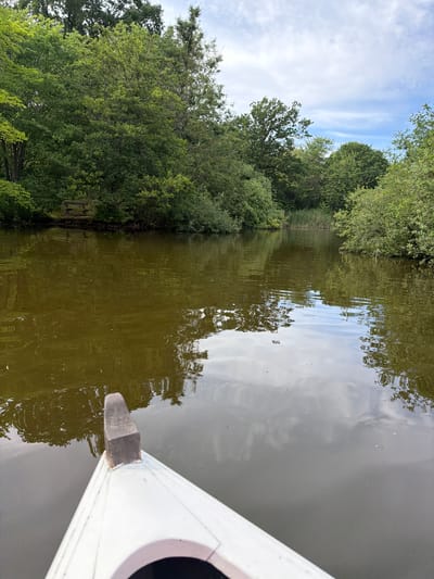 The image depicts a view from a white boat navigating a calm, murky body of water, likely a canal or small lake, surrounded by dense green foliage. The vegetation on the banks is lush and overgrown, with trees reaching towards a cloudy sky. In the distance, on the left bank, a wooden bench is visible, nestled amongst the trees. The water reflects the sky and the surrounding greenery, creating a slightly distorted, rippling effect. The foreground of the image shows the bow of the white boat, with a dark, wooden element at its tip. The scene suggests a tranquil, natural setting, possibly in a park or rural area. The location is identified as Allerslev, Denmark. There are no people visible in the image.