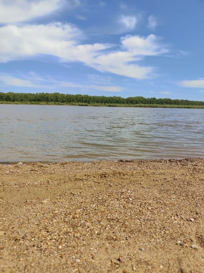 The image depicts a sandy beach by a body of water, possibly a river or lake, in the vicinity of Kushnarenkovo, Russia. The foreground features a sandy shoreline with small pebbles. The water is calm with gentle ripples and appears brownish or muddy. Across the water, a line of dense green trees forms the horizon. The sky is blue with scattered white clouds. There are no people or animals visible in the frame.