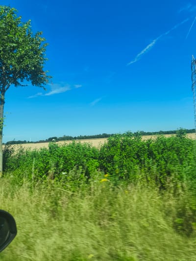 The image depicts a rural landscape under a clear blue sky with a few wispy clouds. In the foreground, to the left, is the trunk and foliage of a green tree. A blurry, dark object, possibly a side mirror of a vehicle, is visible in the lower left corner, indicating the image was taken from a moving car.
The middle ground is dominated by lush green bushes and tall, dry grass that is blurred due to motion. Behind the bushes, a harvested field of light brown soil stretches horizontally across the frame. A line of trees forms a dark green border along the horizon. In the distance, on the left side of the horizon, a white structure with a tall, slender white spire is visible, which could be a church or a communications tower. Further to the right, along the horizon, are more trees.
On the far right side of the image, a tall, metallic electrical pylon with visible wires stands against the blue sky. The overall scene suggests a journey through the countryside on a sunny day.