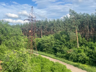 A rusty metal power pylon stands prominently in the foreground of a lush green landscape. The pylon is a lattice structure, triangular in shape and tapering towards the top, with power lines extending from it. To the left and in front of the pylon, dense green foliage with lighter green leaves covers the ground and rises up. A dirt road, appearing as a light brown strip, curves diagonally through the scene from the lower right towards the center left, bordered by green vegetation. In the background, a dense forest of tall pine trees with dark green needles stretches across the horizon. The sky above is a vibrant blue, dotted with fluffy white clouds. This image depicts a scene in the city of Borisoglebsk, Russia, with the power pylon and surrounding vegetation against the backdrop of a pine forest.
